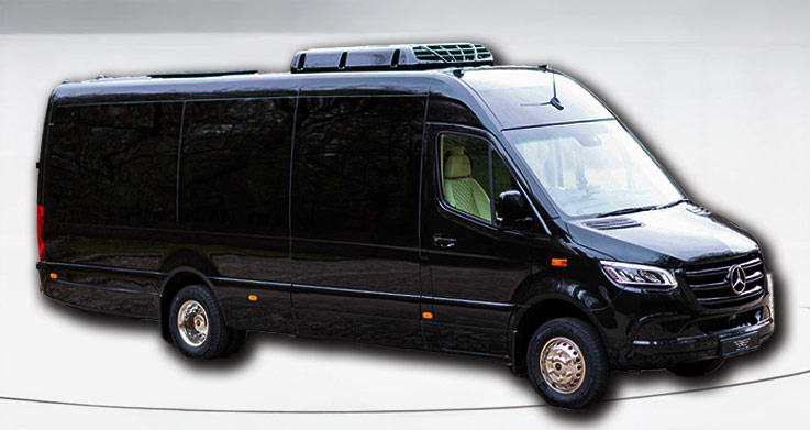 Minibus bis pax Mercedes Sprinter